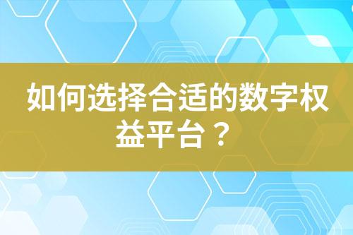 如何选择合适的数字权益采购平台？-亿权益官方博客-官方资讯-山东亿梦网络科技有限公司